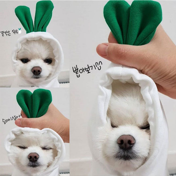Small And Medium-Sized Dogs Fruit Sweatshirt Dogs And Cats Fall And Winter Sweatshirt Fleece Clothing Supplies Pet Teddy Pitcher