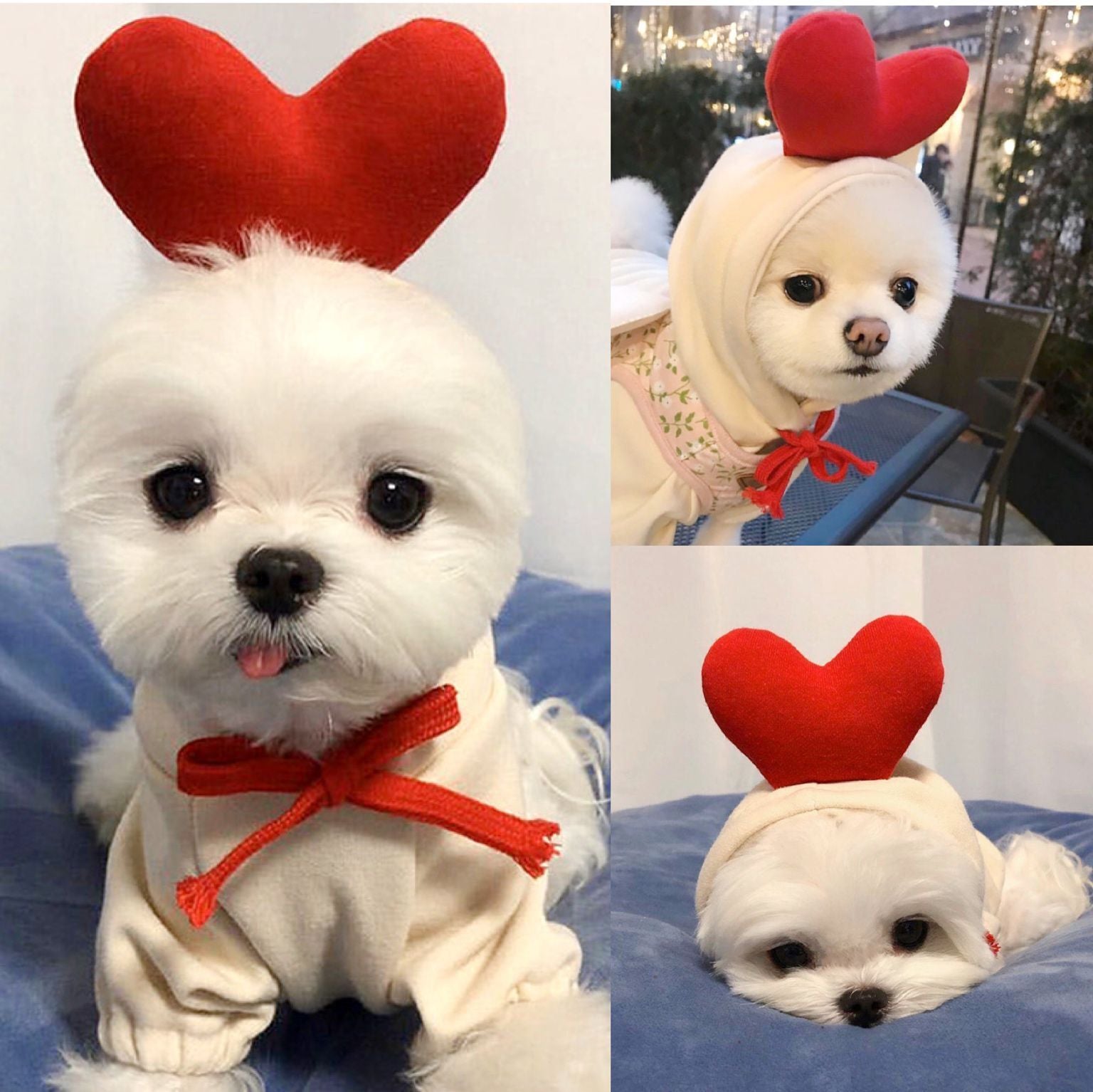 Small And Medium-Sized Dogs Fruit Sweatshirt Dogs And Cats Fall And Winter Sweatshirt Fleece Clothing Supplies Pet Teddy Pitcher