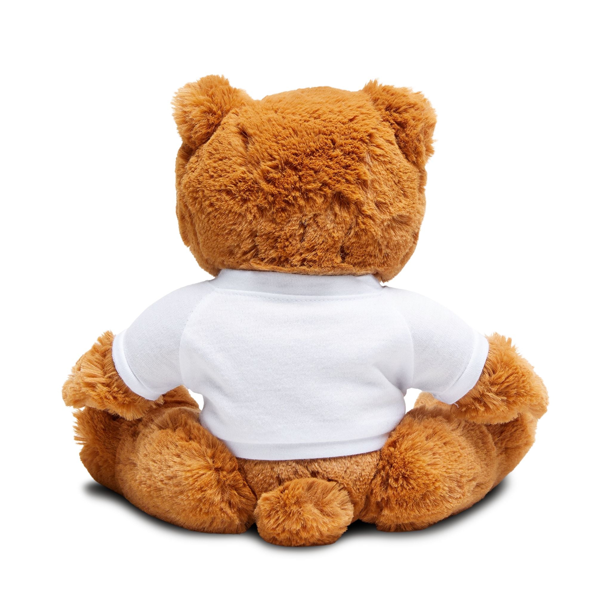 Here Kitty Kitty Colorful Cat Row Teddy Bear, Plush Bear with Printed T-Shirt