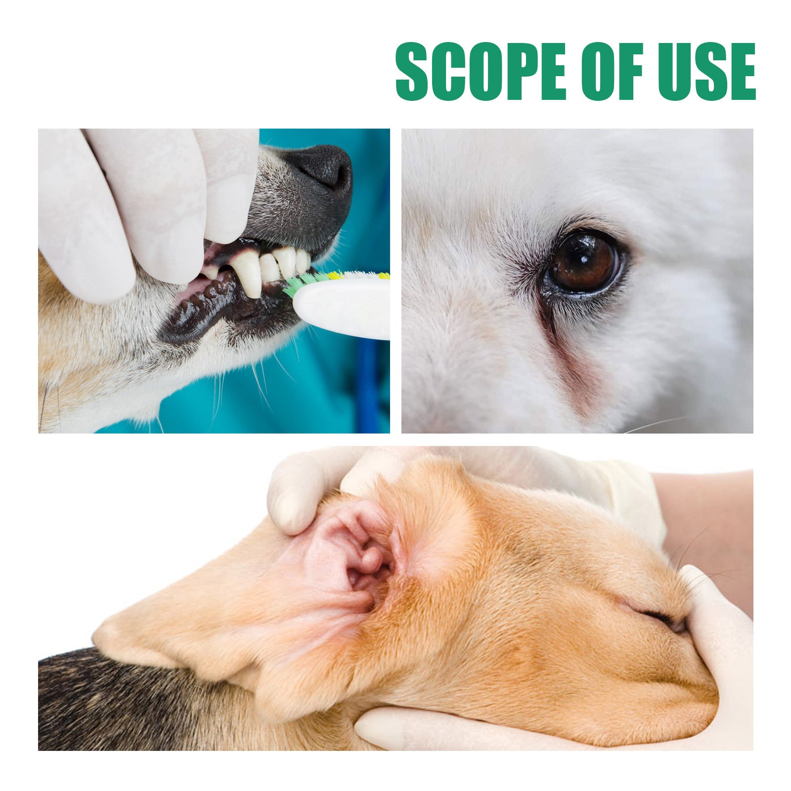 Pet Tooth Cleaning Finger Sleeves for Dogs and Cats Oral Hygiene Care