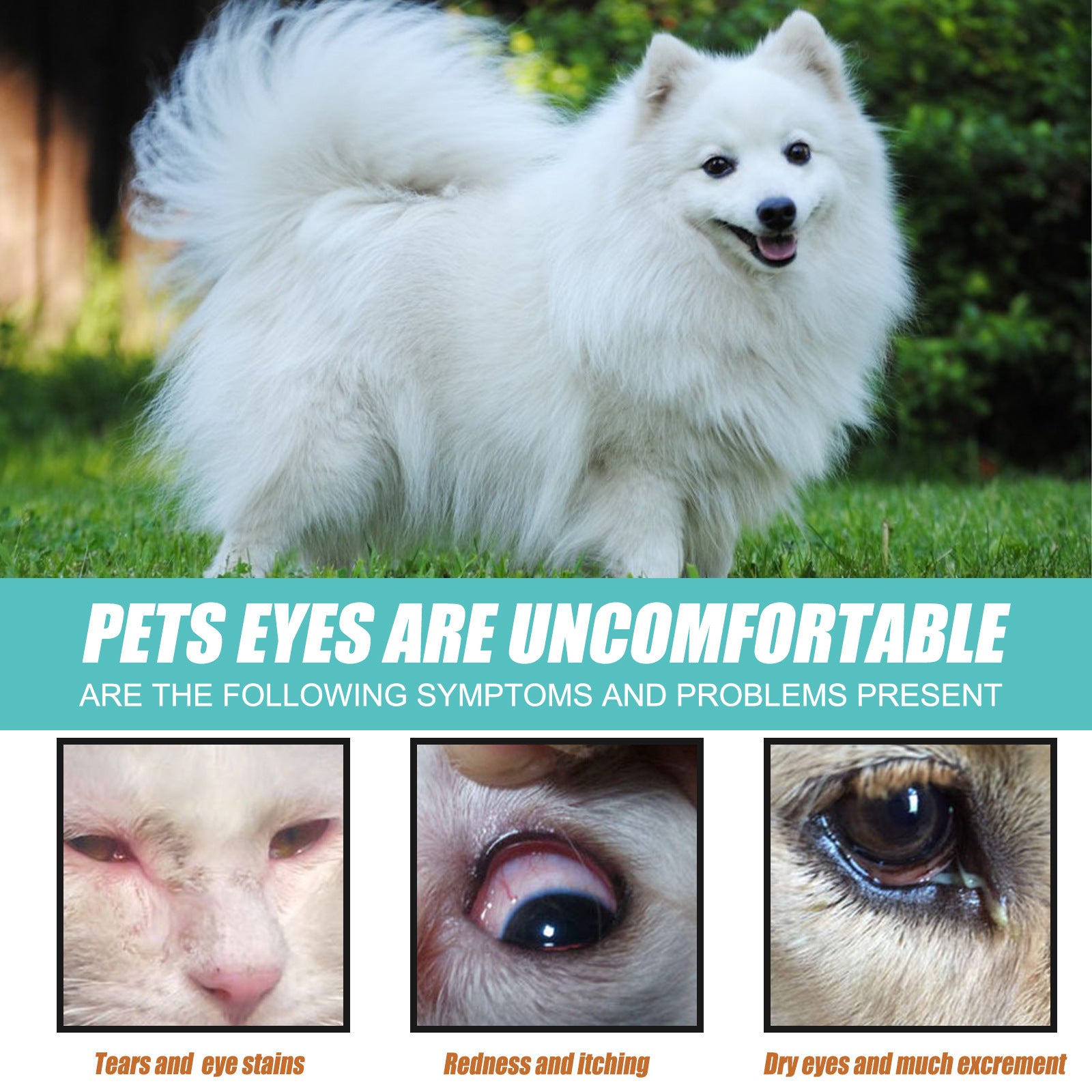 Yegbong Tear Duct Serum For Dogs, Cats And Dogs Removal Eye Poop Pet Topical Eye Tear Stain Serum