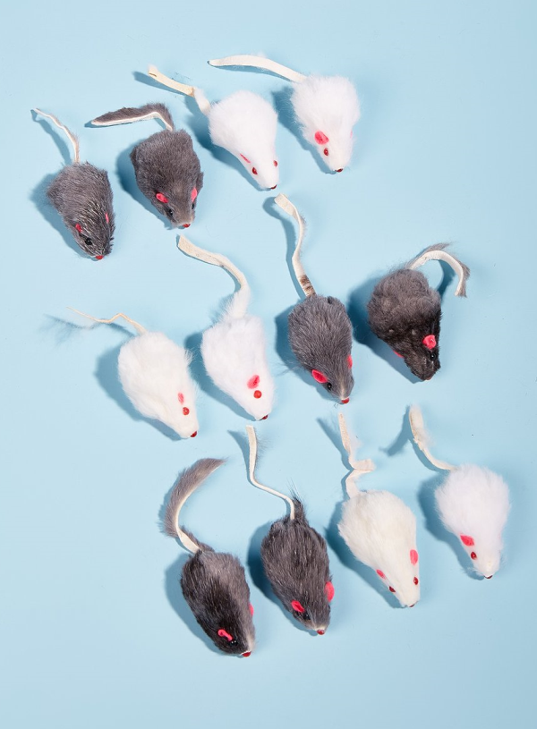 Pet Supplies 12pcs Simulated Rabbit Skin Mouse Combination Cat and Dog Toys