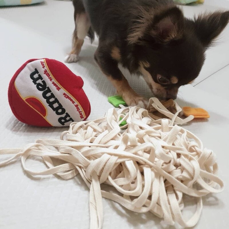 Dogs Snuffle Toys Puppy Dog Nosework Training Toy Pet Dog Sniffing Puzzle Toys Funny Noodle Shape Leaking Food Toys for Cat Dog