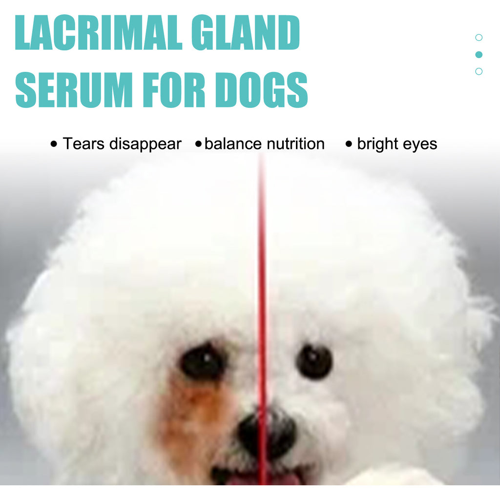 Yegbong Tear Duct Serum For Dogs, Cats And Dogs Removal Eye Poop Pet Topical Eye Tear Stain Serum