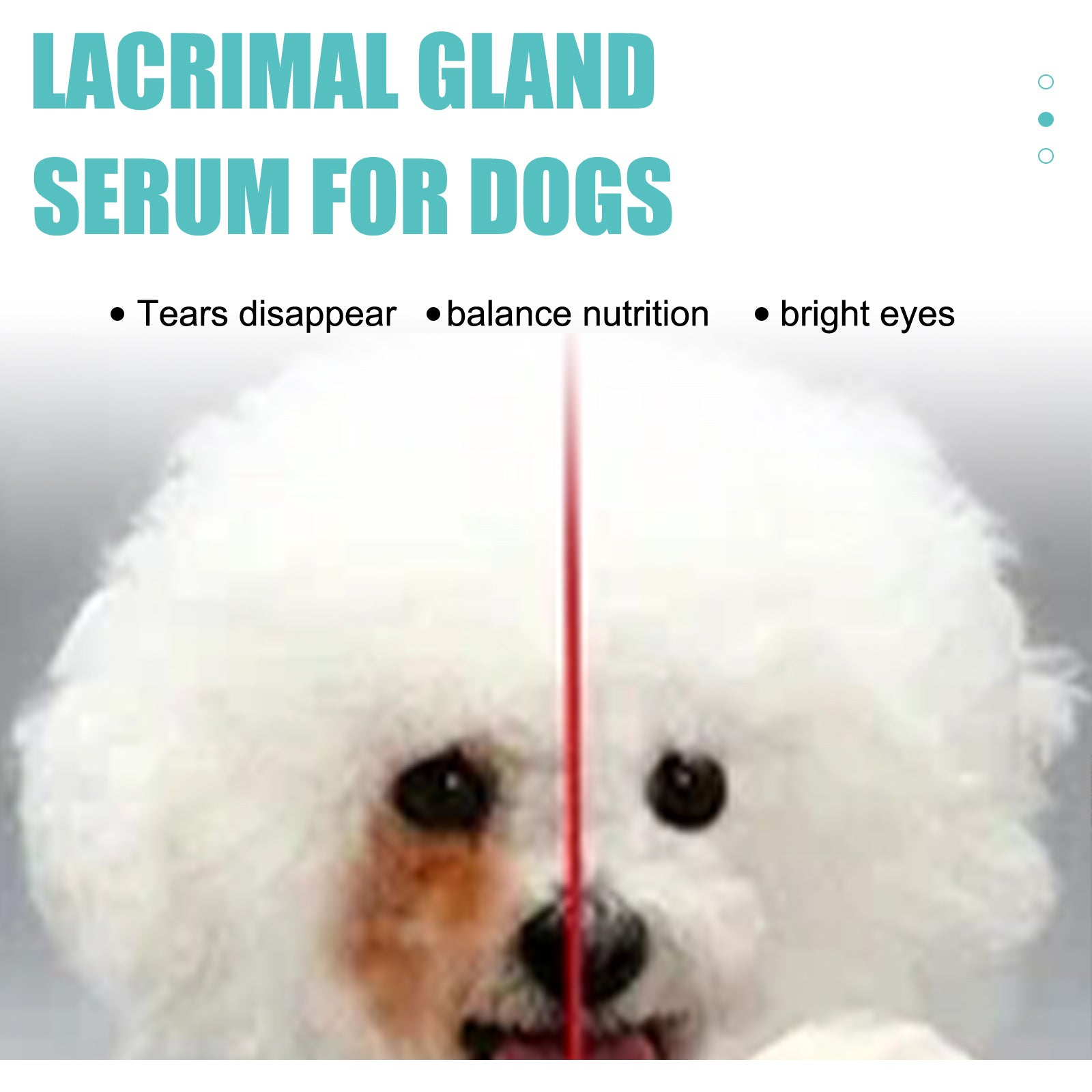 Yegbong Tear Duct Serum For Dogs, Cats And Dogs Removal Eye Poop Pet Topical Eye Tear Stain Serum