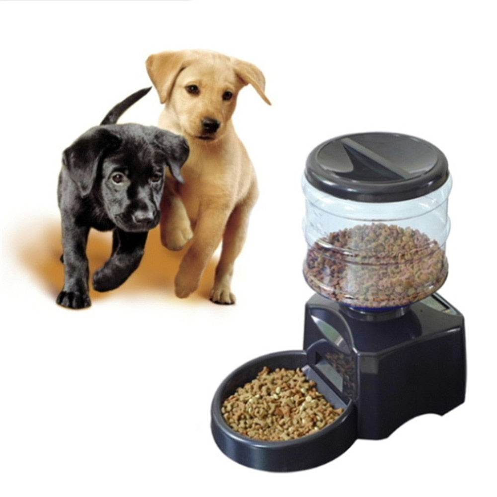 Automatic Pet Feeder fountain Voice Message Recording LCD Screen Dogs Cats Food Dispenser Bowl