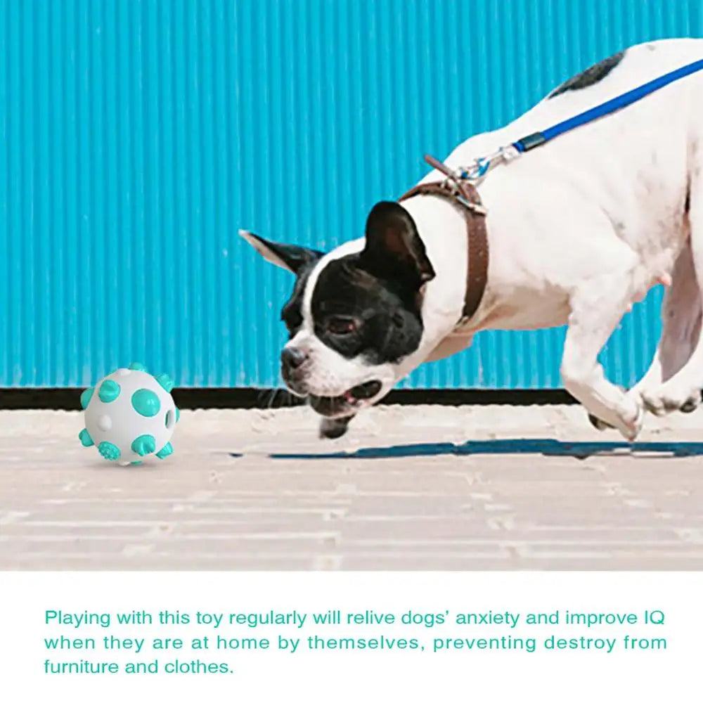 Dog Cat  Rolling Ball Toy Rubber Training Toys Funny Nipple Rolling Ball