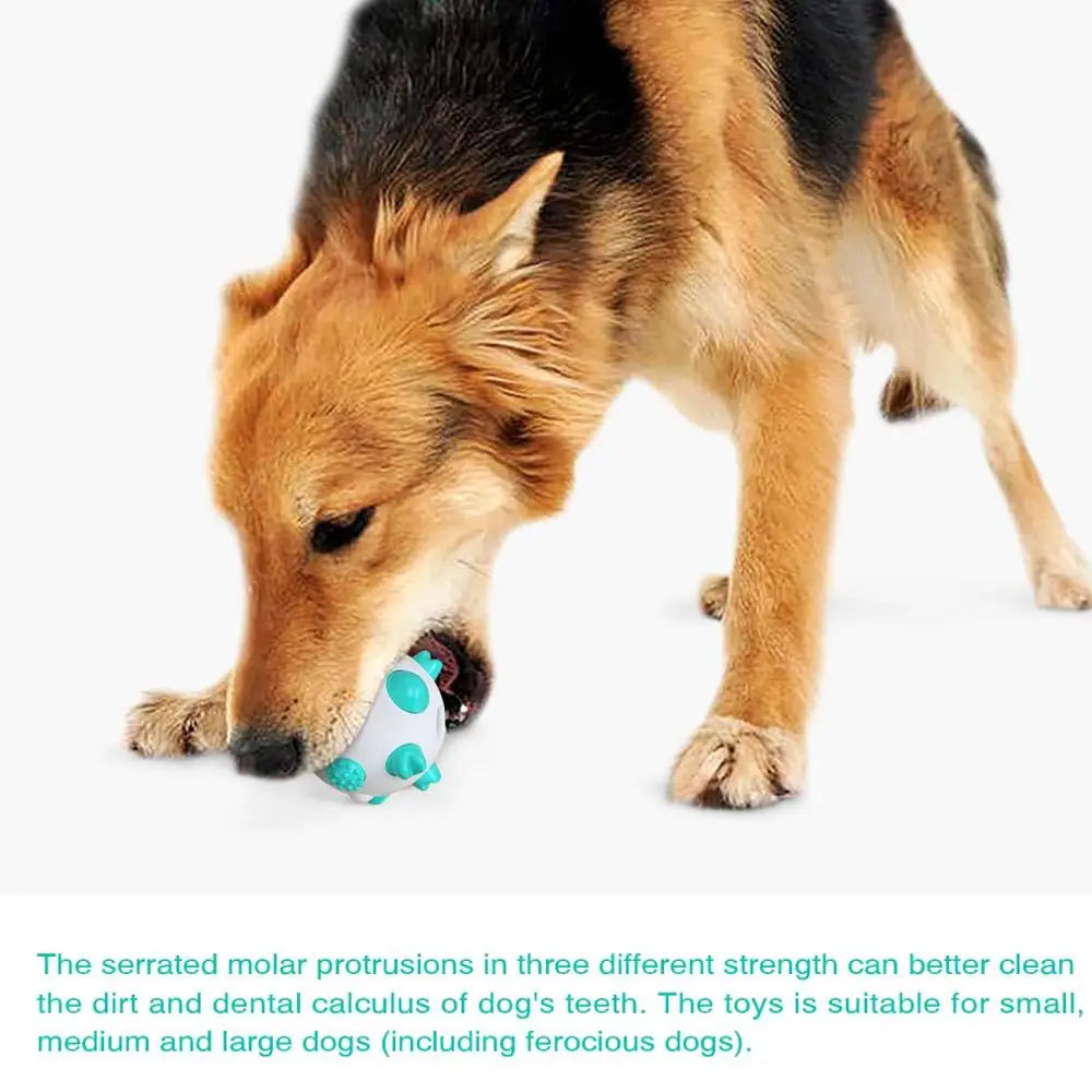 Dog Cat  Rolling Ball Toy Rubber Training Toys Funny Nipple Rolling Ball